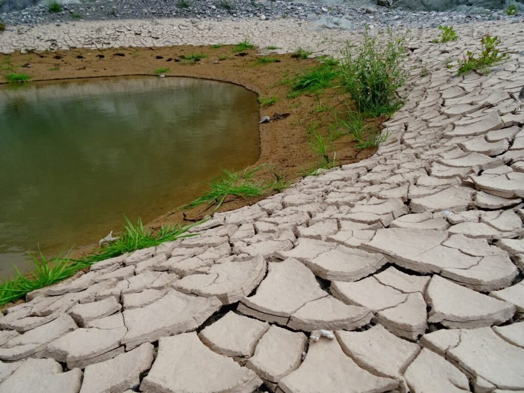 beach water nature plant flower cobblestone 728436 pxhere.com El fenómeno del Niño: Informe de predicción climática para Colombia