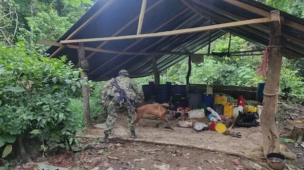 f34frd.jpeg Ejército Nacional desmantela tres laboratorios de procesamiento de cocaína en el Urabá antioqueño