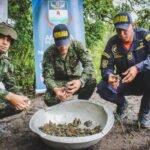 Rescate exitoso de fauna silvestre en Colombia: Un trabajo conjunto por la conservación